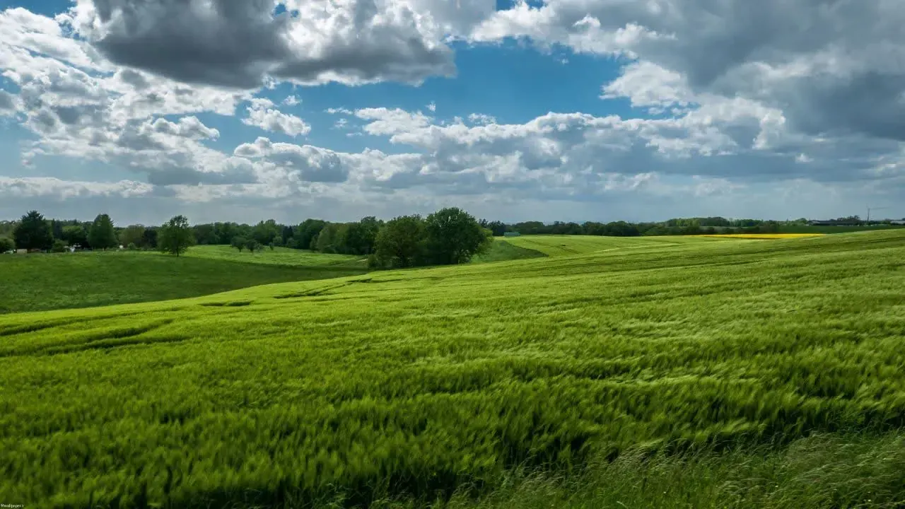 نمونه کانال اختصاصی برنامه‌نویسی بهاریوم
